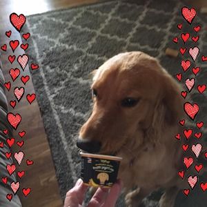 Meet your Posher, Carolyn